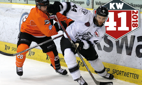 Gelingt den Grizzlys aus Wolfsburg endlich der Befreiungsschlag? Foto: Agentur Hübner