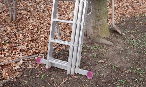 Symbolfoto: Alexander Panknin