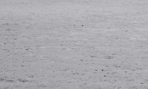 Weiterhin kein Sport auf den städtischen Sportplätzen möglich. Symbolbild: Alexander Panknin