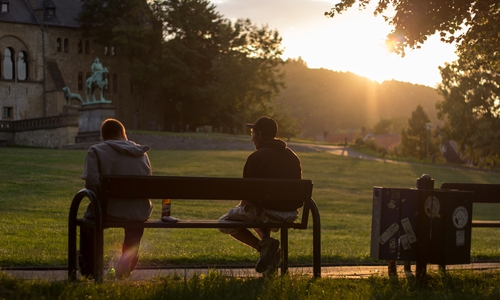 Eine von Goslars stadtnahen Grünflächen: Die Wiese vor der Kaiserpfalz. Foto: Alec Pein 