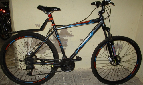 Wer vermisst dieses Mountainbike? Foto: Polizei Braunschweig