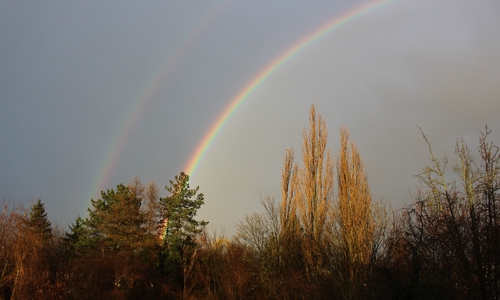Doppelter Regenbogen über Wolfenbüttel. Foto: Max Förster