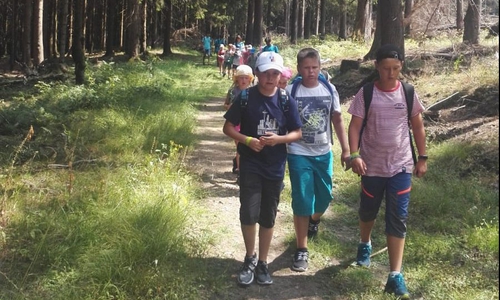 Auch eine Wanderung im Harz stand auf dem Programm. Foto: Stadt Wolfenbüttel
