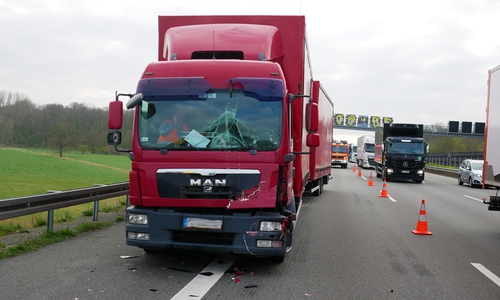 Symbolfoto: Alexander Panknin