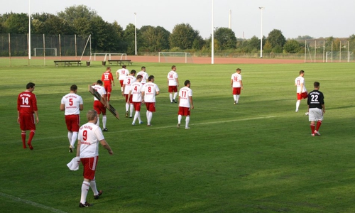 Der KS Polonia möchte seine Heimspiele wieder an alter Wirkungsstätte austragen. Foto: Frank Vollmer/Archiv