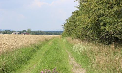 Symbolbild: Anke Donner