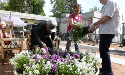 Bewohner der gerontopsychiatrischen Fachabteilung, die mit der Mitarbeiterin Ingrid Müsker eine große Blumenschale auf der Brücke bepflanzen. Foto: Seniorenbetreuung Schloß Schliestedt