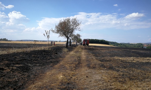 Bei den Mäharbeiten war ein rund ein Hektar großer Getreideschlag in Brand geraten. Foto: Jill Geske-Gloger