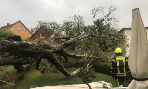 Glück im Unglück - der Baum verfehlte das Gebäude. Foto: Feuerwehr Braunlage