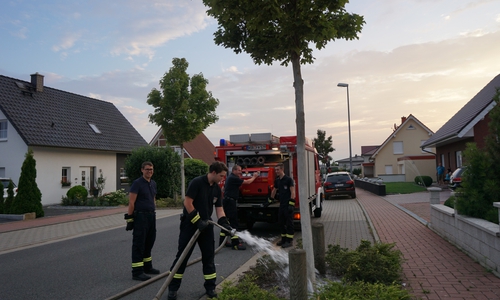 Die Freiwillige Feuerwehr Mörse bewässert einen Baum im Kerksiek. Foto: Freiwillige Feuerwehr Mörse