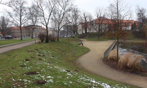 Der Übergriff ereignete sich zur Mittagszeit an der Langen Straße auf Höhe des Stadtgrabens. Foto/Video: Marian Hackert