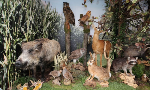 Am 16. September feiern die Jäger im Oderwald. Foto: Jürgen Ronge