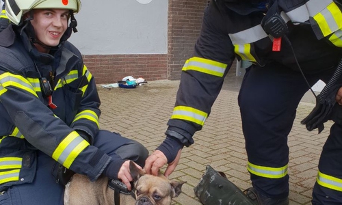 Der Hund freute sich über den unerwarteten Besuch. Foto: Feuerwehr Vorsfelde