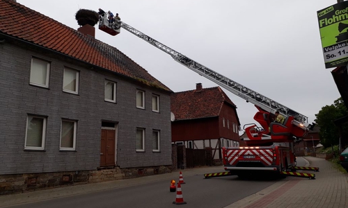 Bei der Untersuchung der Jungstörche wurden zwei Tiere mehr gefunden, als von unten ersichtlich waren. Foto: Alexander Weis, Pressesprecher Feuerwehr Helmstedt
