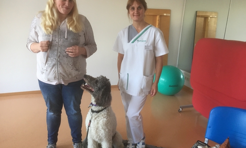 Sozialpädagogin Christina Fricke mit Groß-Pudel „Flip“ und Demenzbeauftragte Beata Boronczyk. Foto: Asklepios Harzkliniken GmbH