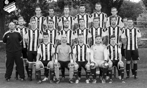 1. Herrenmannschaft des Hoitlinger SV Foto: Hoitlinger SV