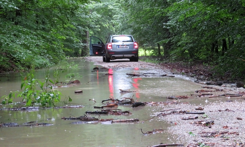 Auch der Wald hat einiges abgekriegt. Fotos: Niedersächsische Landesforsten 