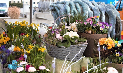 Die Beschicker des Wochenmarktes laden zum Frühlingsfest ein. Foto: Stadt Wolfsburg