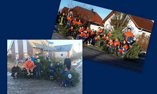 Tannenbaumaktion Halchter. Foto: Privat