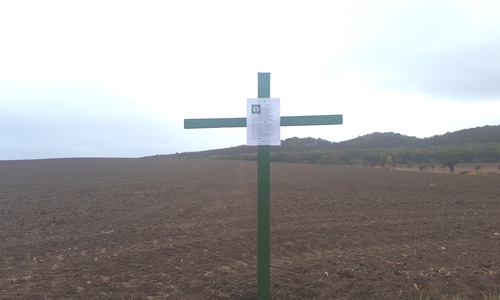 Eines der grünen Kreuze, hier in Othfresen. Foto: Annabell Pommerehne