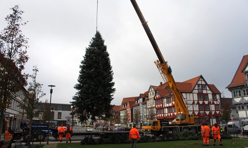 Laut Verwaltung sind keine neuen Hundewiesen in Braunschweig geplant. Foto: Nick Wenkel