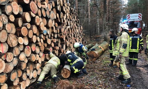Es musste eine Öffnung geschaffen werden, um das Tier zu befreien. Fotos: Feuerwehr Grasleben