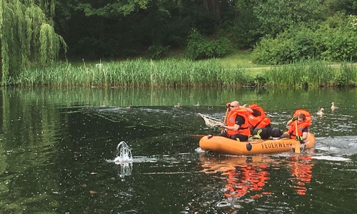 Eine augenscheinlich in Not geratene Gans ließ sich nicht einfangen. Fotos: Feuerwehr Wolfenbüttel