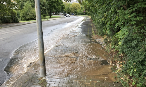 Große Mengen Wasser flossen aus einem Rohr auf die Mozartstraße. Foto: Feuerwehr