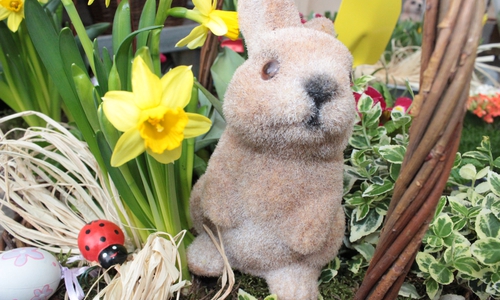Der Osterhase hätte auch ein Osterstorch sein können.