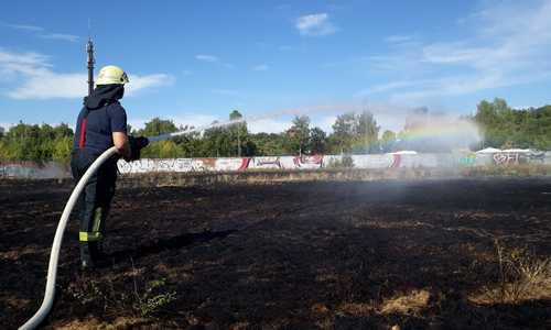Bilder, die sich in den vergangenen Tagen häufen. Die Trockenheit sorgt für viele Flächenbrände. Fotos: Stadtfeuerwehr-Presse-Team Wolfenbüttel (Hänschen/Stein)