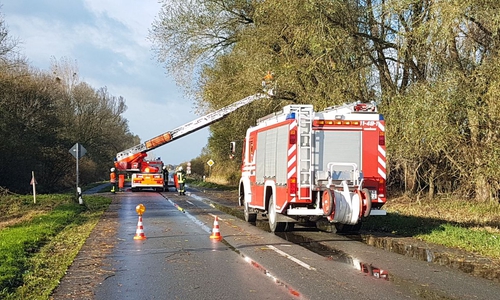 Über eine Drehleiter konnte die losen Äste entfernt werden. Foto: Feuerwehr Fallersleben
