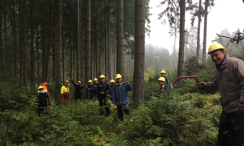 Arbeitseinsatz: Die 13 Besucher aus Lateinamerika griffen beherzt zur Säge. Foto: Jan Fragel