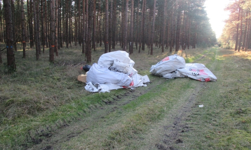 Die Polizei sucht nach Zeugen des Umweltdelikts. Foto: Polizei Gifhorn