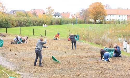 Pflanzenbeetanlage wurde für die nächste Saison fit gemacht. Foto: privat