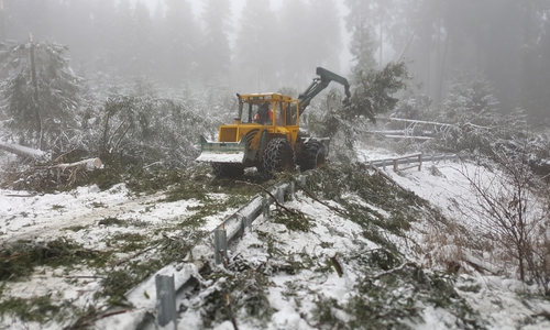 Für die Arbeiten bleibe nicht mehr viel Zeit. Foto: Niedersächsische Landesforsten