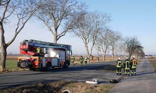 Ein LKW musste ausweichen und streifte dabei einen der Bäume. Foto: Alexander Panknin