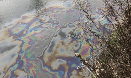 Diese Öllache entdeckte die Feuerwehr auf der Oker. Fotos: Feuerwehr Braunschweig