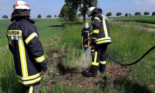 Die Einsatzkräfte bei der Arbeit. Foto: Feuerwehr Wolfenbüttel