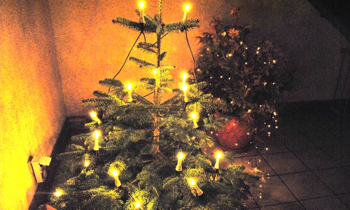 Gielder Feuerwehr lässt den Weihnachtsbaum leuchten. Symbolbild. Foto: Marc Angerstein 