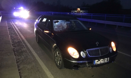 Vor diesen Mercedes lief in der Nacht der Spaziergänger. Fotos: aktuell24 (BM)