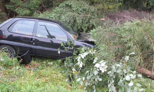 Das Fahrzeug der verunfallten Fahrerin. Foto: Polizei