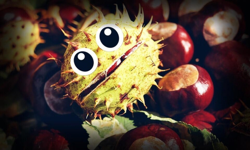 Ist er nicht drollig, der Herbst? Foto: Nick Wenkel/Pixabay