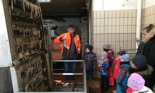 Die Schmetterlinge des Kindergartens St. Ludgeri besuchten die städtische Kläranlage. Foto: Wiebke Saalfrank 