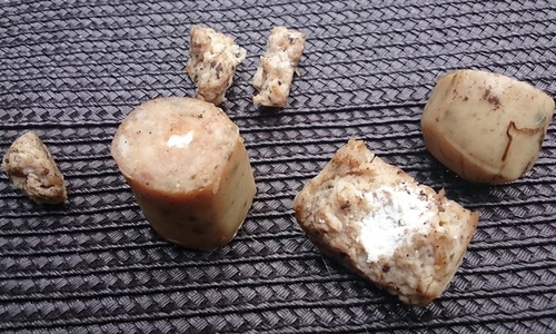 Die Polizei leitete ein Verfahren wegen Verletzung gegen das Tierschutzgesetz ein. Symbolfoto: Polizei Salzgitter