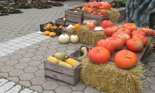 Wochenmarkt auf dem Rathausplatz. Foto: Stadt Wolfsburg