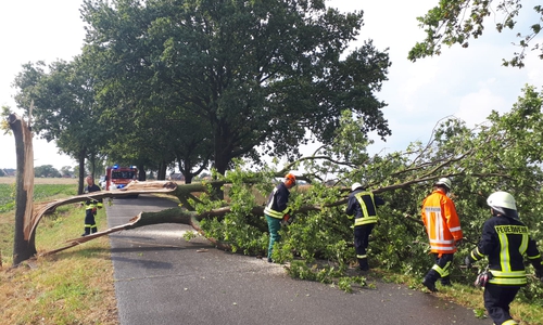 Die Feuerwehr räumte den Baum schnell von der Straße. Fotos: Samtgemeinde Velpke