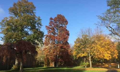 So schön kann der Herbst sein. Fotos: Thorsten Raedlein/Stadt Wolfenbüttel
