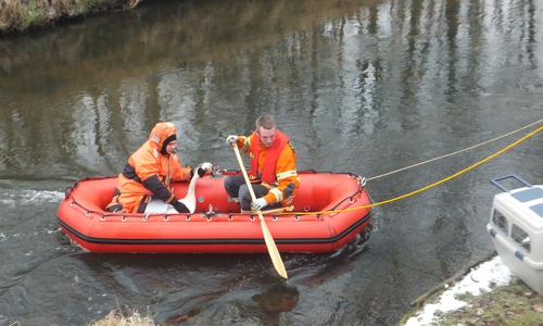 Die Feuerwehr rettete den Schwan. Foto: Feuerwehr
