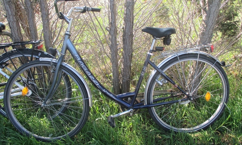 Das Ragazzi Fundrad. Fotos: Polizei