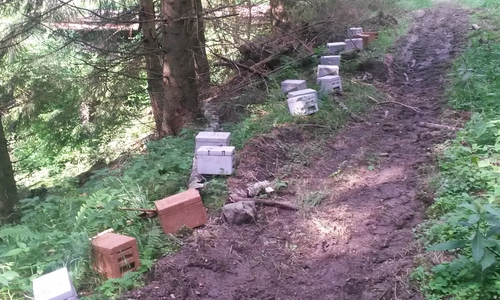 Die widerrechtlich abgestellten Apideas wurden entfernt. Foto: Polizei 